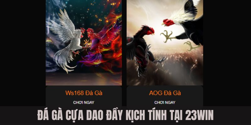 Đá gà cựa dao đầy kịch tính tại 23WIN